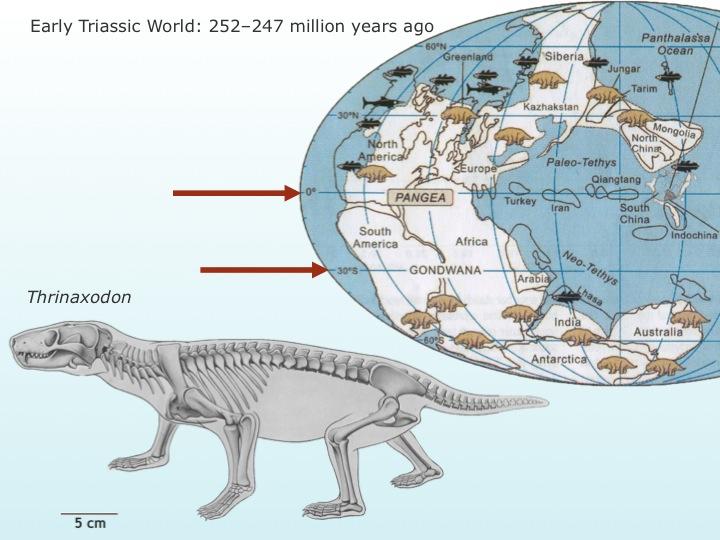 Slide 7, Early Triassic Climate