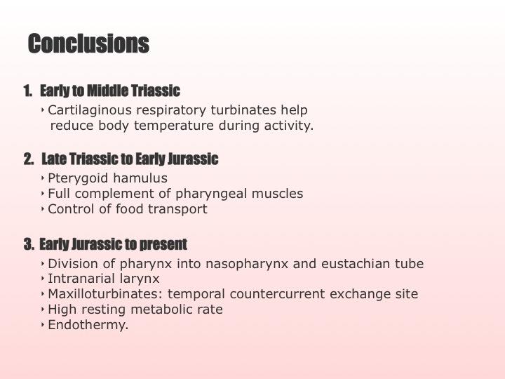 Slide 13.  Conclusions.